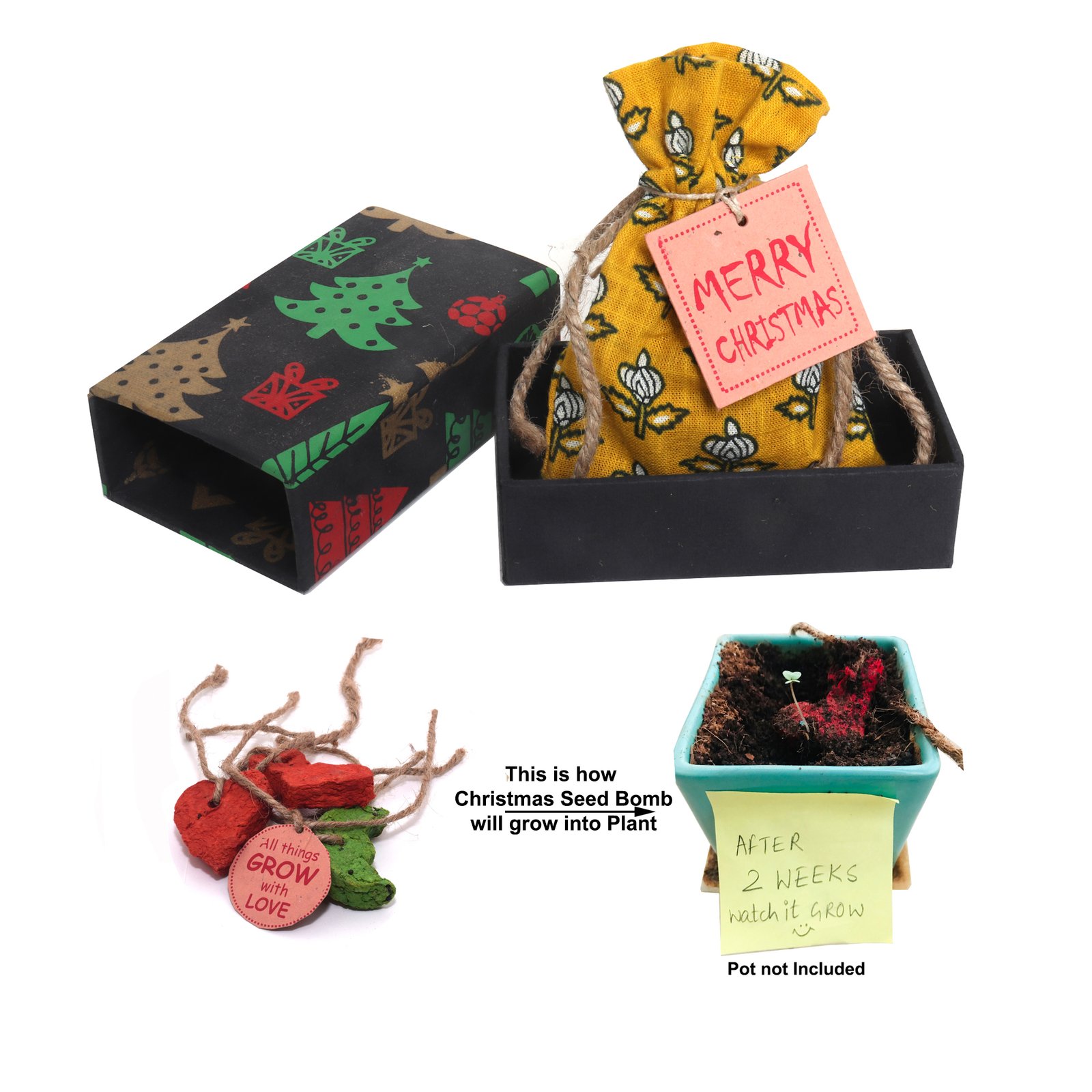 Butterfly Garden Seed Gift Box Tin | Plant Addicts