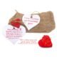Love Seed Heart Kit (Growing Heart infused with seeds)