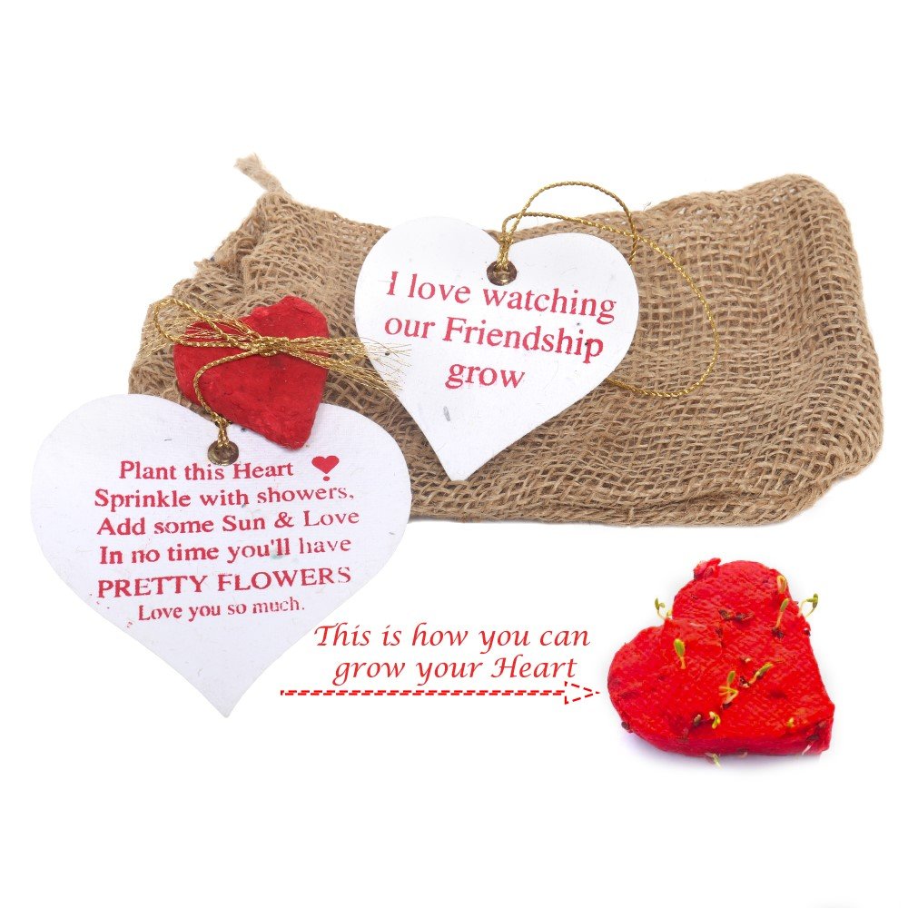 Love Seed Heart Kit (Growing Heart infused with seeds)